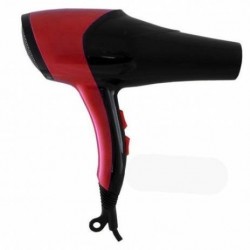 Uscator profesional Gemei GM-176 2600W