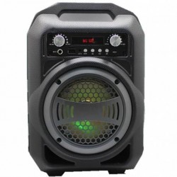 Boxa portabila Bluetooth BS-12 + microfon DM-401