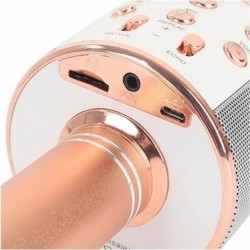Microfon karaoke fara fir, compatibil cu iOS si Android, tablete iPad si PC, Bluetooth